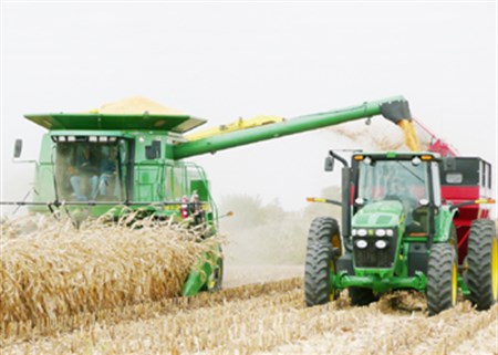 Enough wheat and barley collected by Iraq in 2014