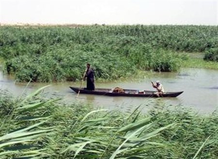 مؤتمر صحفي الاحد المقبل لمناقشة ادراج الاهوار على لائحة التراث العالمي