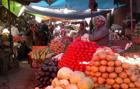 Iraqi government ratified proposal for aiding the local farmers