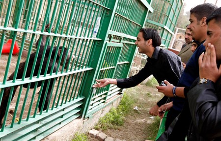 An aquarium to be built in Baghdad at Al-Zawraa Park