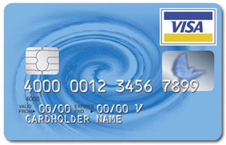 Visa cards have been issued by CBI
